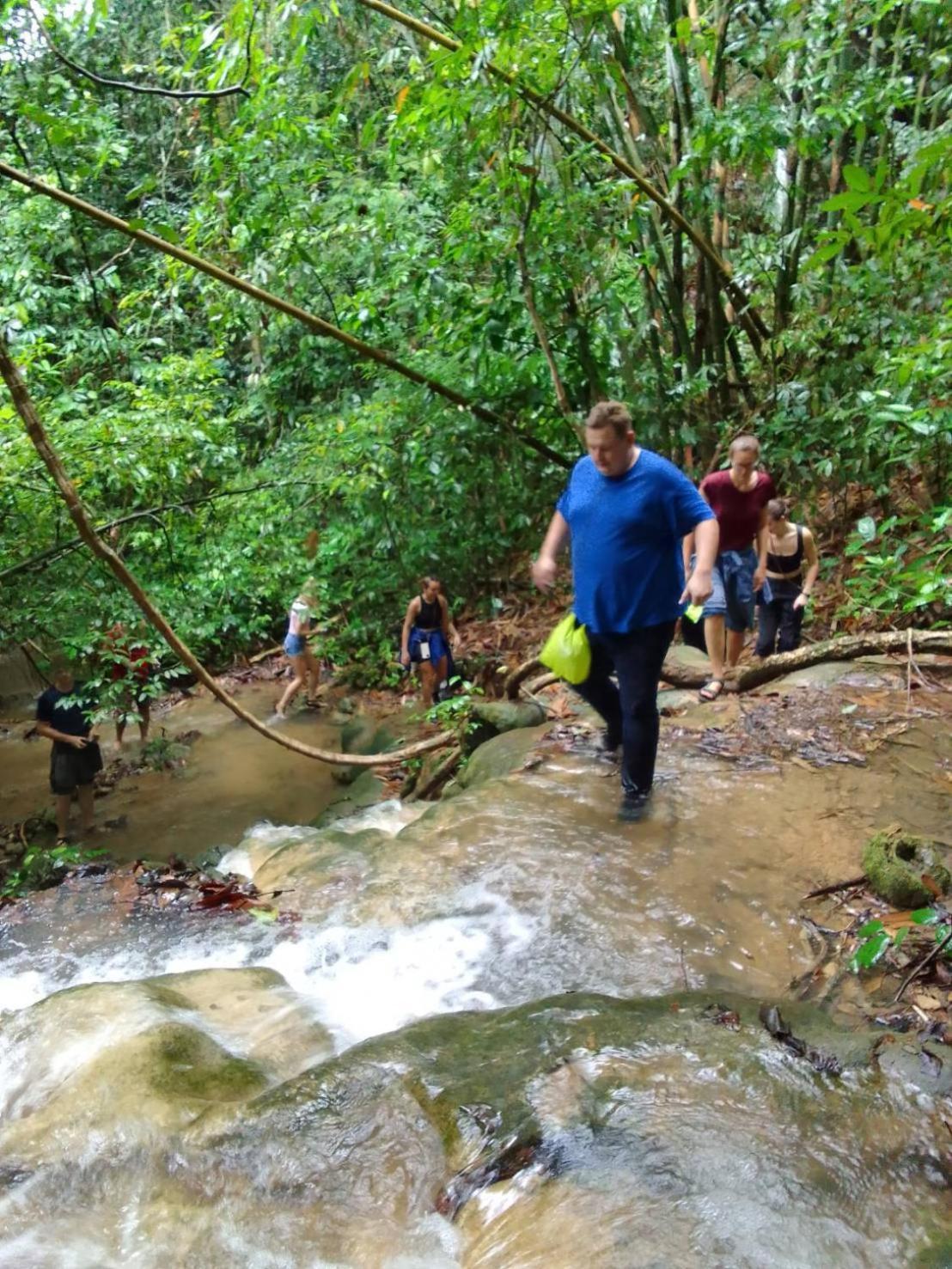 Khao Sok Inn Hostel Khao Sok National Park Ngoại thất bức ảnh